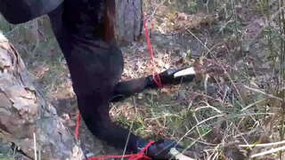 Լորա կրունկների վրա, խորթ քույրը ՝ մոդել սեւ զգեստով և բարձրակրունկ կոշիկներով, կապված և քողարկված անտառում, պետք է ծծում անդամ бика.