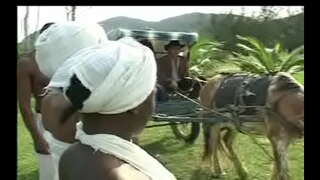 Como Negras da senzala